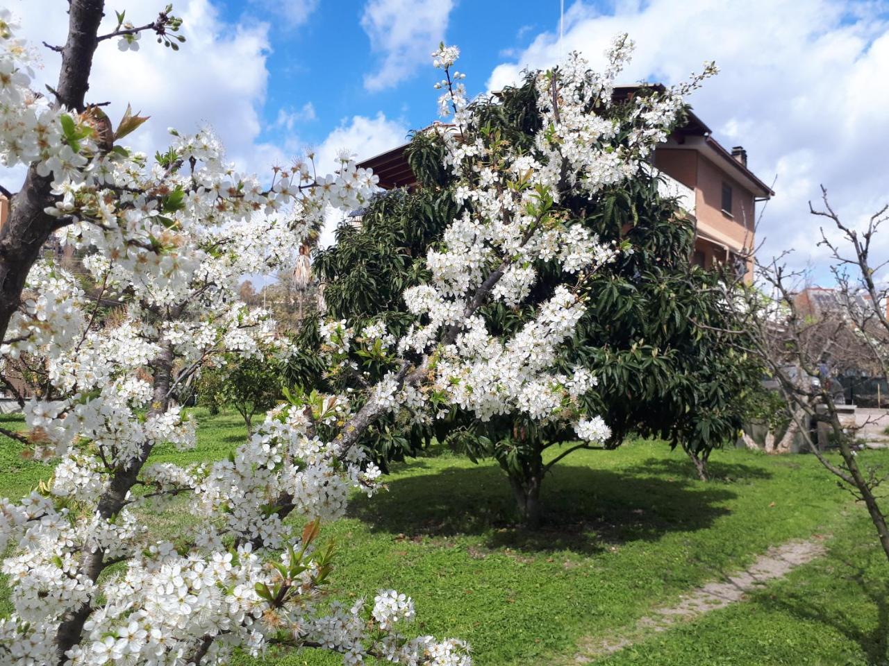 B&B Il Giardino Di Gabri — Foto 1